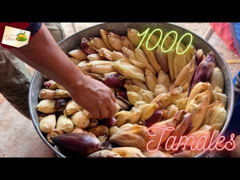How to make 1000 tamales to give away: Step-by-step recipe