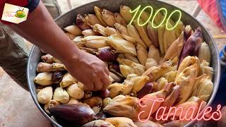 Cómo hacer 1000 TAMALES  para regalar RECETA paso a paso by larecetadelaabuelita 3,011 views 3 months ago 9 minutes, 17 seconds