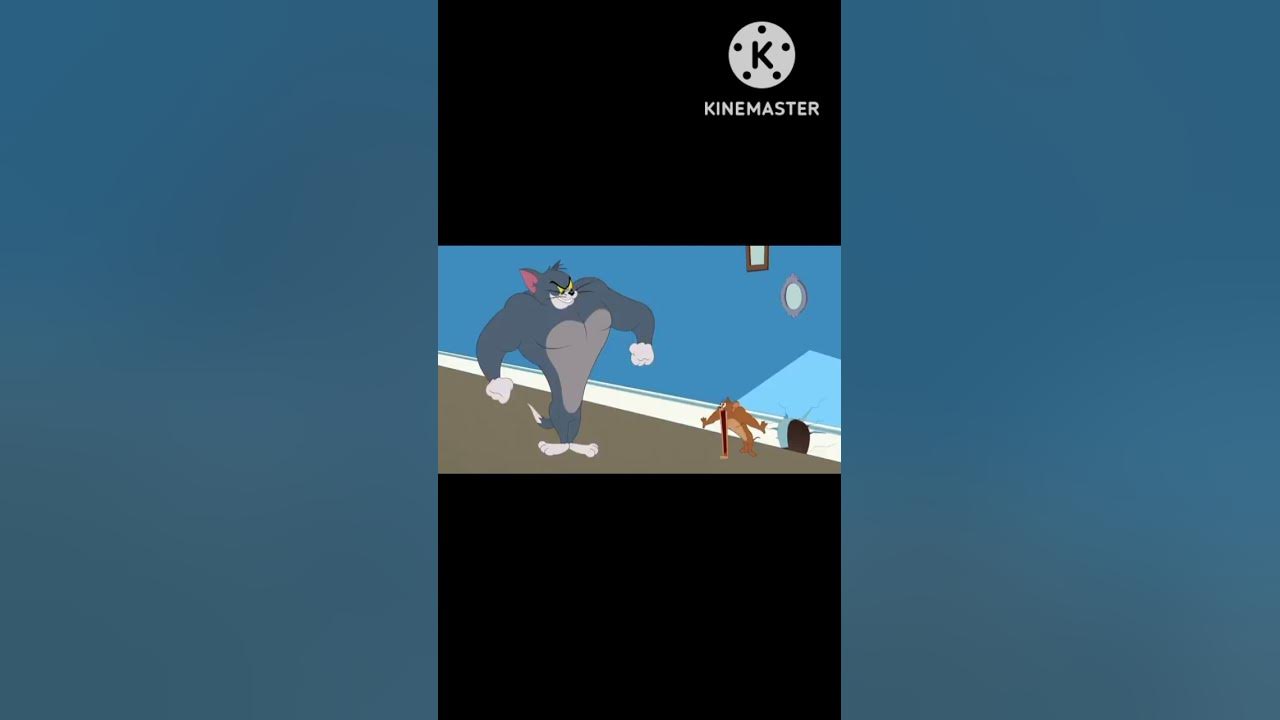 #The #Tom #and #Jerry #Show | #Tom The #Gym Cat | #Boomerang #UK 🇬🇧