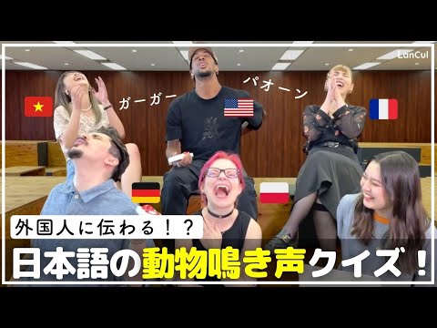【大爆笑】珍回答！外国人が日本の動物鳴き声クイズに挑戦！海外と全然違う！？のアイキャッチ
