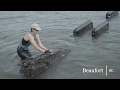 Oyster Farming in the South