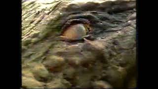 Samsonite Advert Channel 4 1992