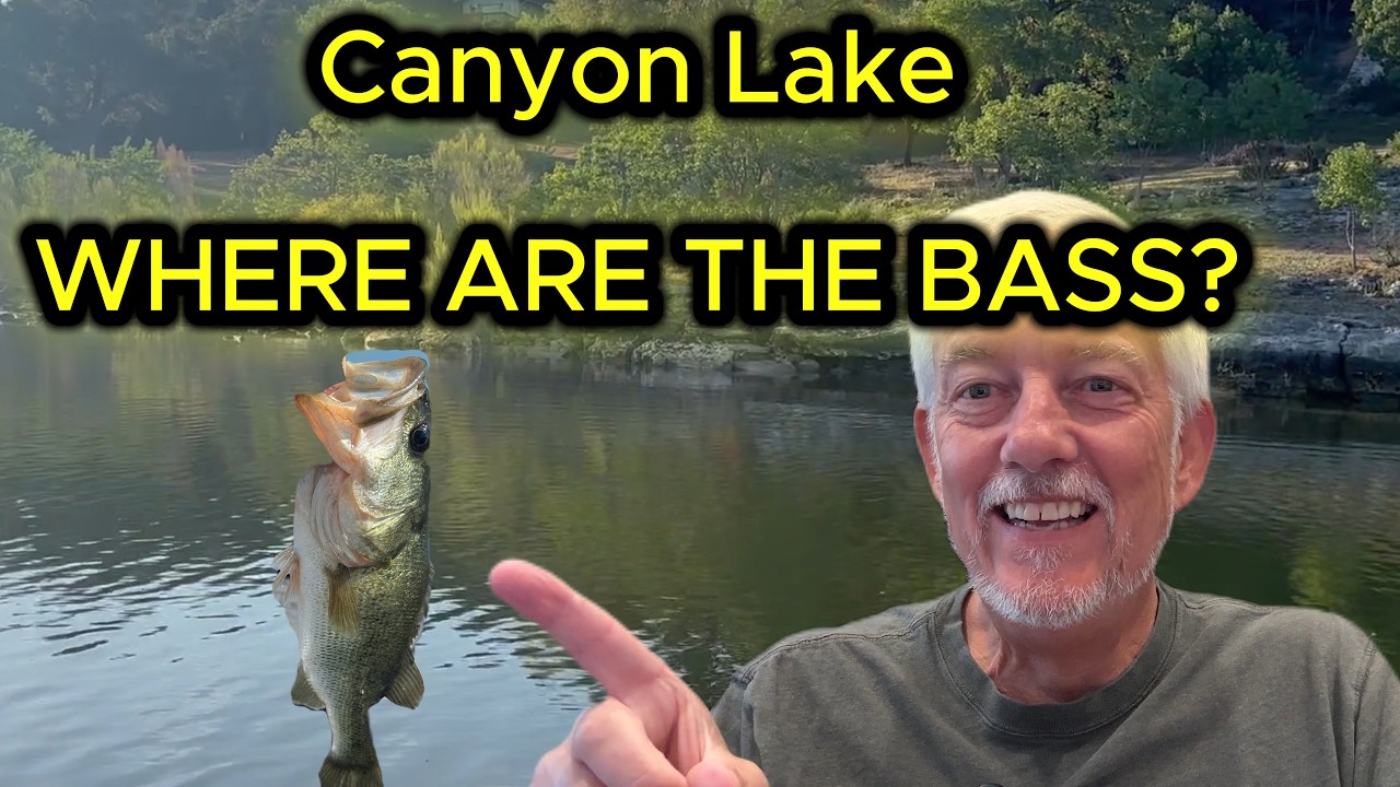 Canyon Lake – Where Are The Bass?