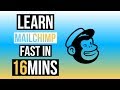LEARN MAILCHIMP FAST IN 16 MINUTES ! TUTORIAL FOR BEGINNERS IN 2022
