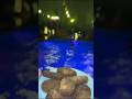 silver cloud resort parappur a good place to bachelor party and all other events