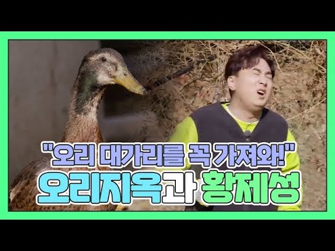 ＂오리 대가리를 못 가져오면 올 생각을 하지 마!＂ 오리 지옥에 갇힌 황제성?! MBN 201122 방송
