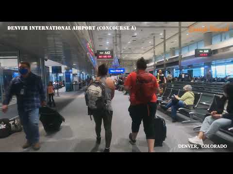 Video: Phoenix Sky Harbor International Tshav Dav Hlau Qhia
