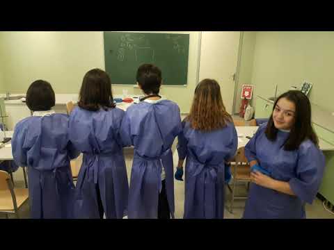 ქ.ქუთაისის N33 საჯარო სკოლის გუნდი \"უჯერები\"