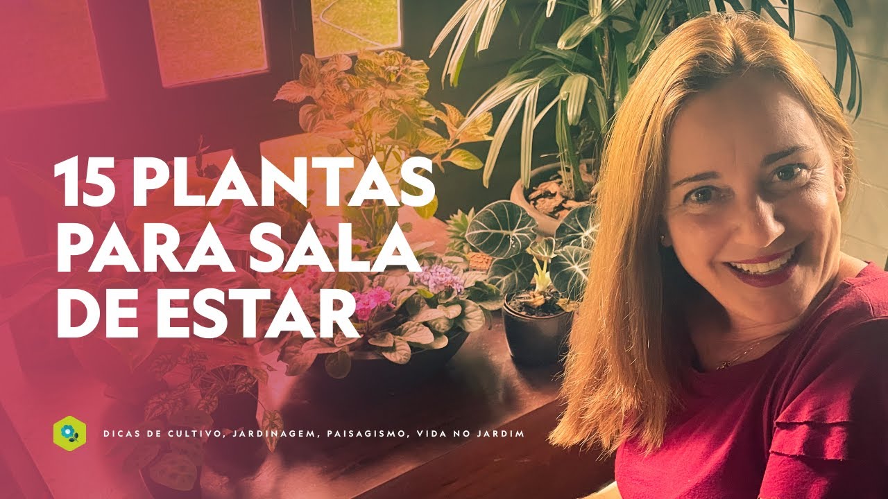 Jardim Suspenso: 10 Inspirações para Espaços Reduzidos, image size:1280x720