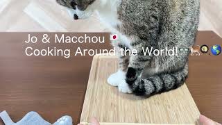 【Best Kitchen Products】Use for My YouTube Cooking Channel in Japan 🍳🐈🇯🇵