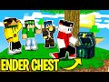 MI HANNO RUBATO L'ENDER CHEST? Big Skyblock - Ep. 16