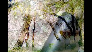 The Battle for Deer Trail