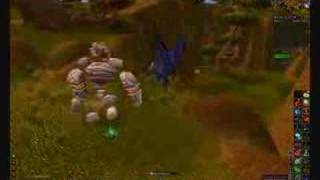Night Elf Druid Epic Flight Form