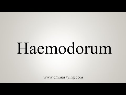 How To Say Haemodorum