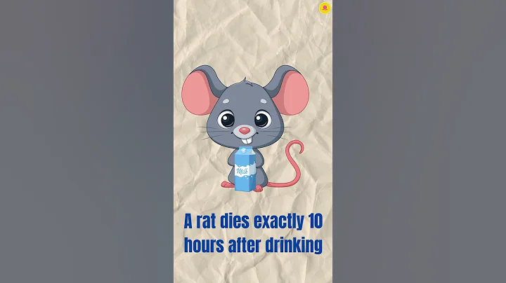 I Solved Google’s Impossible Interview Question