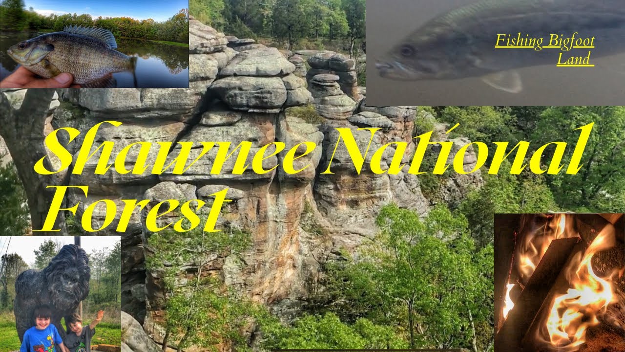 Shawnee National Forest Illinois Bigfoot Fishing Shawnee Forest Bass Fishing