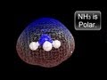 Properties and Polarity of NH3
