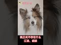 从昨天开始，中国共产党这个江湖。。。