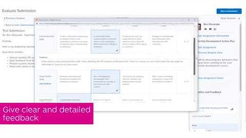 Evaluate Employee Skills with Rubrics in Brightspace