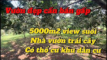 nhà vườn cây ăn trái 5000m2 view suối có thổ cư ở BR-VT. nợ nần chồng chất  chú ba cần bán.
