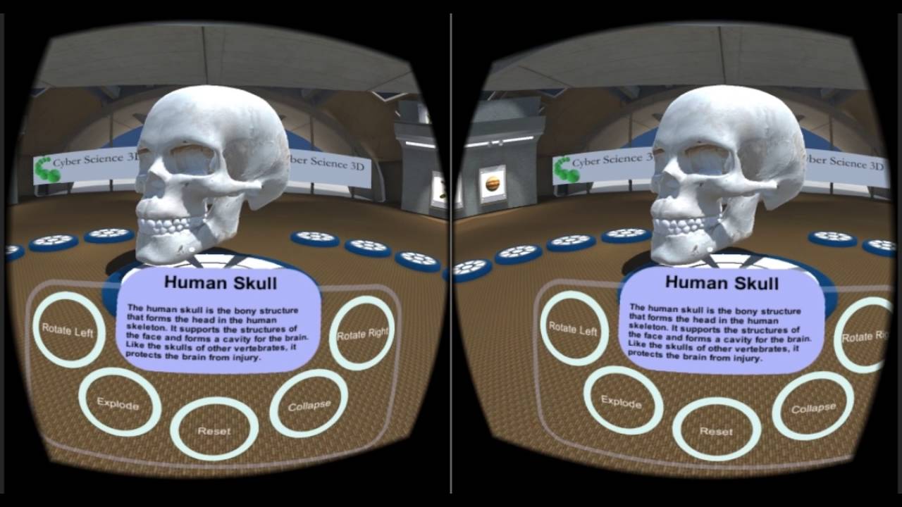 CS Google Cardboard VR Demo