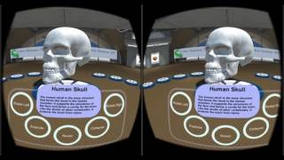 Celebrity CS Google Cardboard VR Demo Wealth