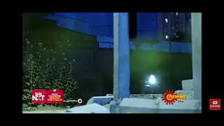 Vidya Raj Chloro
