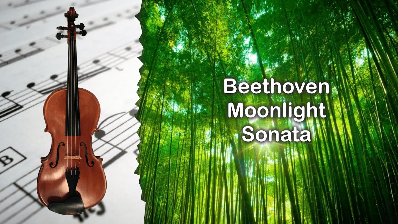 Partitura Beethoven - Moonlight Sonata Viola
