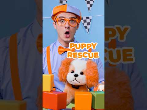 Blippi Frees a Trapped Puppy! 🐶 Rescue Vehicle Challenge!