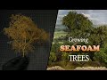 Growing your own model seafoam trees at home as an amateur