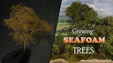Growing your own Model Seafoam Trees at Home as an Amateur
