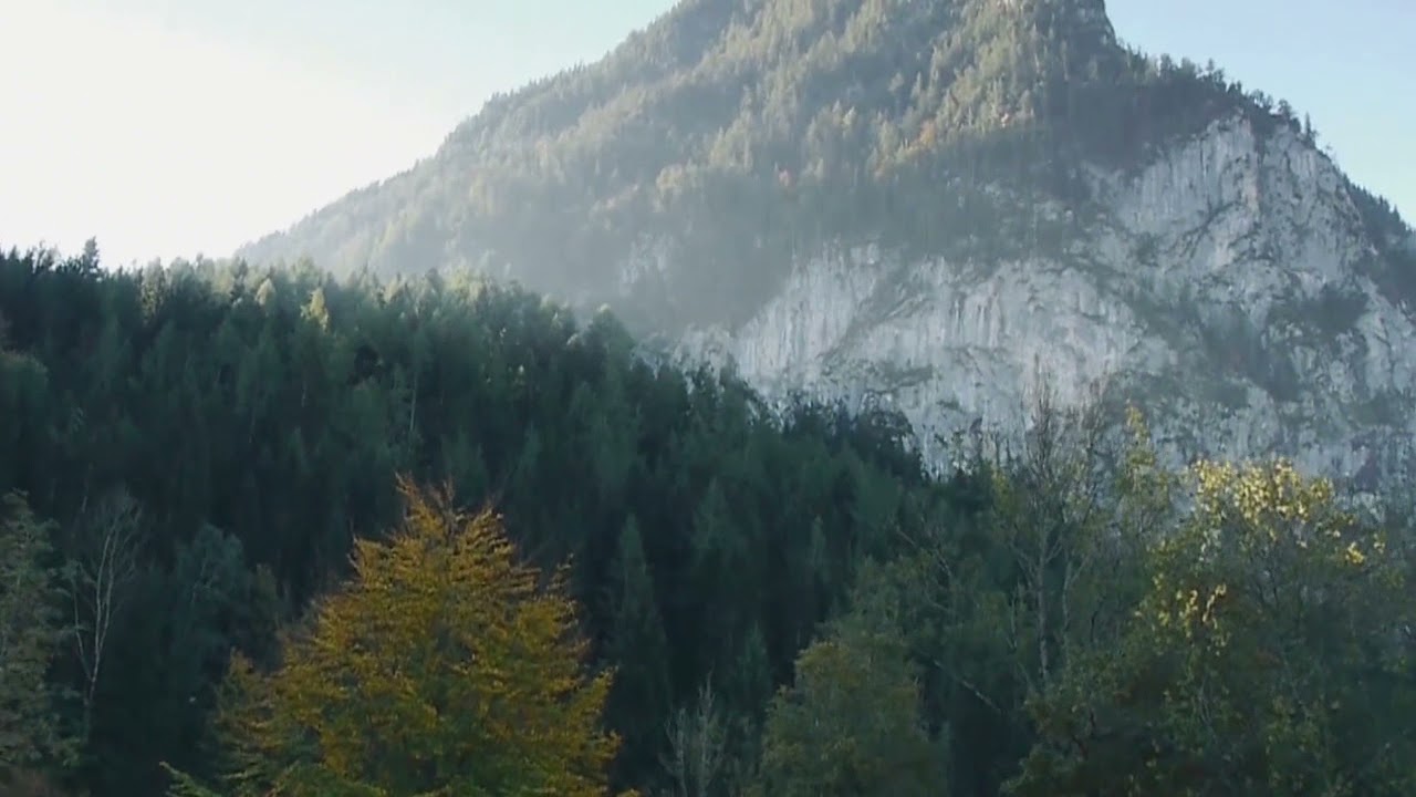 Tréninková videa Virtual Tour