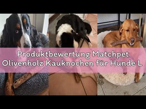 Produktbewertung Matchpet Olivenholz Kauknochen für Hunde L — 2 Stück Natürliches Kauholz & Holzknoc
