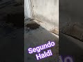 Terminando outra sapata e Baldrame 🙌 #construcao #fyp #arquitetura #ccb #reforma #casa #shortvideo