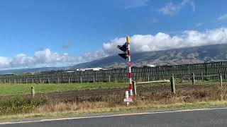 ZK-MZC departing NZDN bound for NZCH NZ5748 by z F 9 views 10 days ago 32 seconds