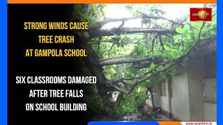Strong Winds Cause Tree Crash at Gampola School