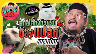 VLOGแว่ก | ตามล่าหาสัตว์เลี้ยงตัวแรก จะแปลกแค่ไหน? แถมต้องวัดความรู้รอบตัวของสัตว์ต่างๆ ด้วย ไหวม้าย