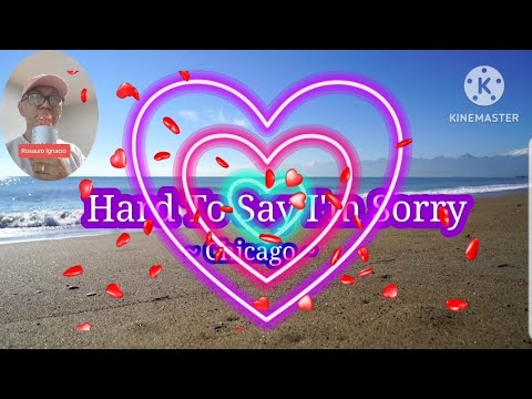 Hard To Say I'm Sorry/Chicago /cover song with lyrics by;@RosauroIgnacio
