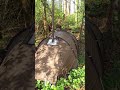 Hot tent camping in the woods #hottent #camping @POMOLY