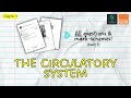 Circulatory System Quiz