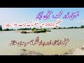 📍 Sutlej River Flood 2025 | Village at Okara–Bahawalnagar Border Submerged