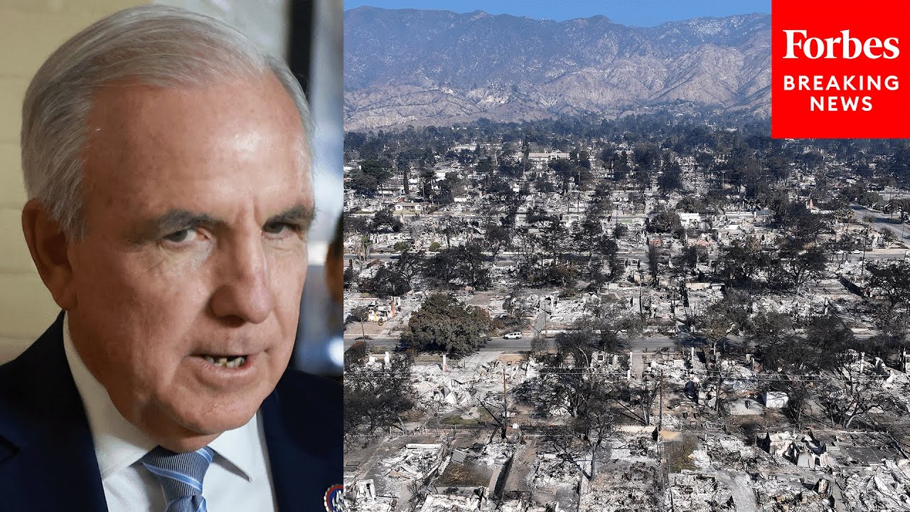 Carlos Giménez Calls For 'Fact Finding Trip' To LA To Investigate Wildfire Mitigation Response