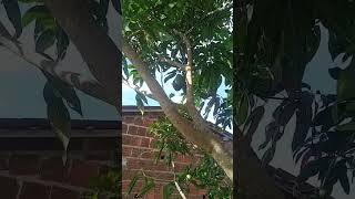 #motivacional #sitio #deustemumapalavrapravocê #caminhoparaumavidamelhor #paz