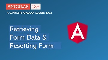 Formuliergegevens ophalen en formulier opnieuw instellen | Angular Forms | Angular 13+