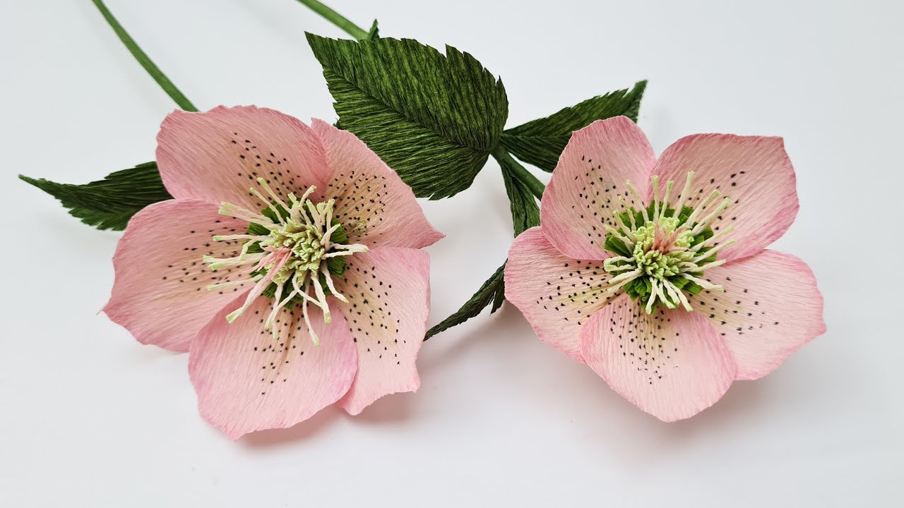 How To Make Helleborus Paper Flower / Paper Flower / Góc nhỏ Handmade