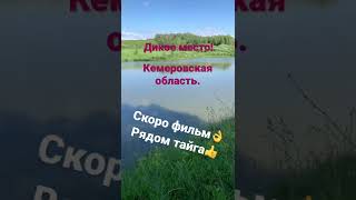 Скоро будет фильм про это дикое место, рядом тайга, Кемеровская область👍в водоёме приличные веса