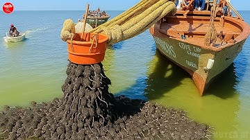 Họ Đã Tiêu Diệt Toàn Bộ Chuột Trên Đảo Và Một Năm Sau Mọi Người Đều Bị Sốc Vì Lý Do Này