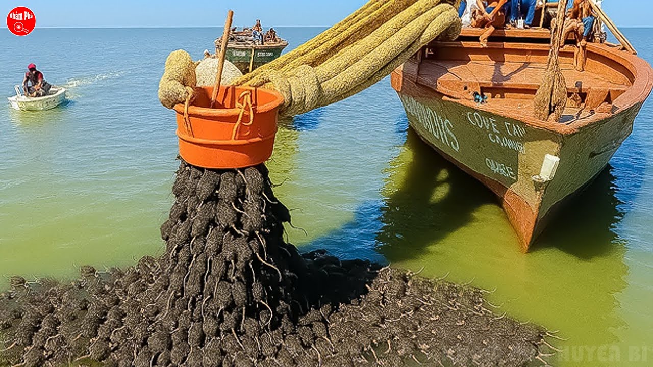 Họ Đã Tiêu Diệt Toàn Bộ Chuột Trên Đảo Và Một Năm Sau Mọi Người Đều Bị Sốc Vì Lý Do Này