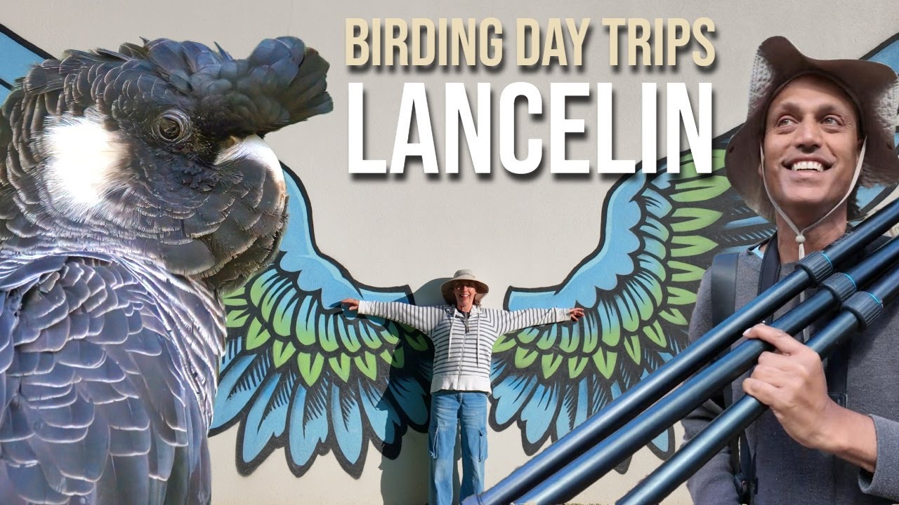 Why Yanchep is a MUST VISIT spot in WA