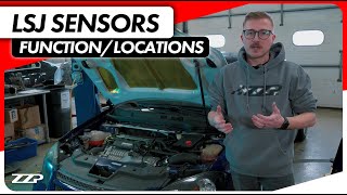 Lsj Cobalt Sensors Locations & Function